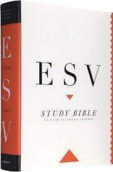 esv bible for youth