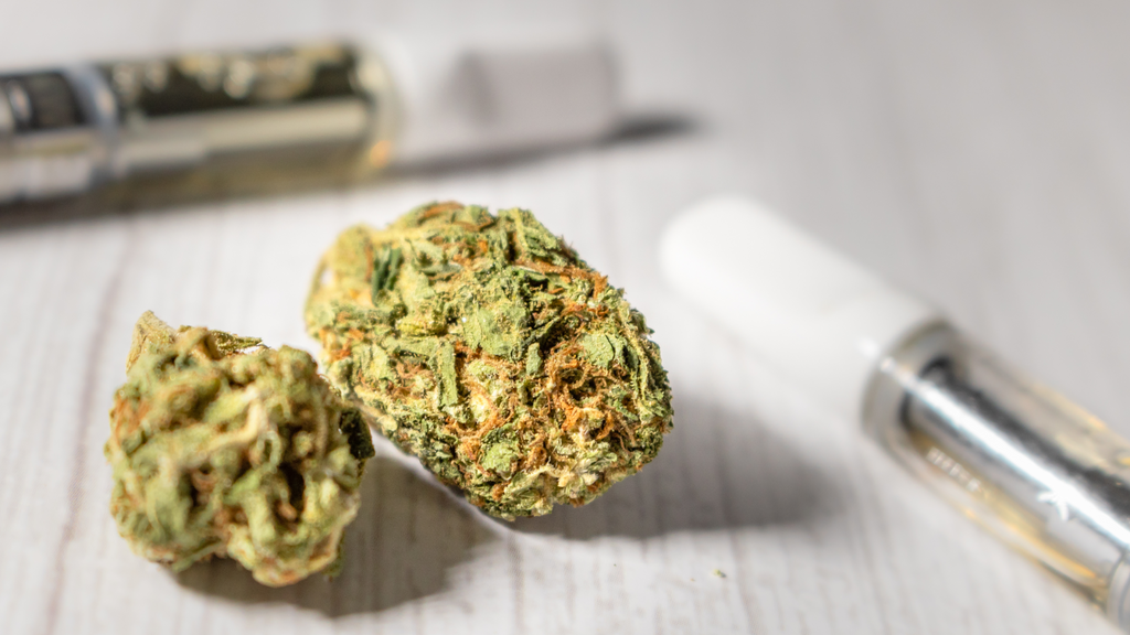 Two cannabis flower buds in focus lying on a table paired with two 510 thread vape carts out of focus to the top and right of the cannabis