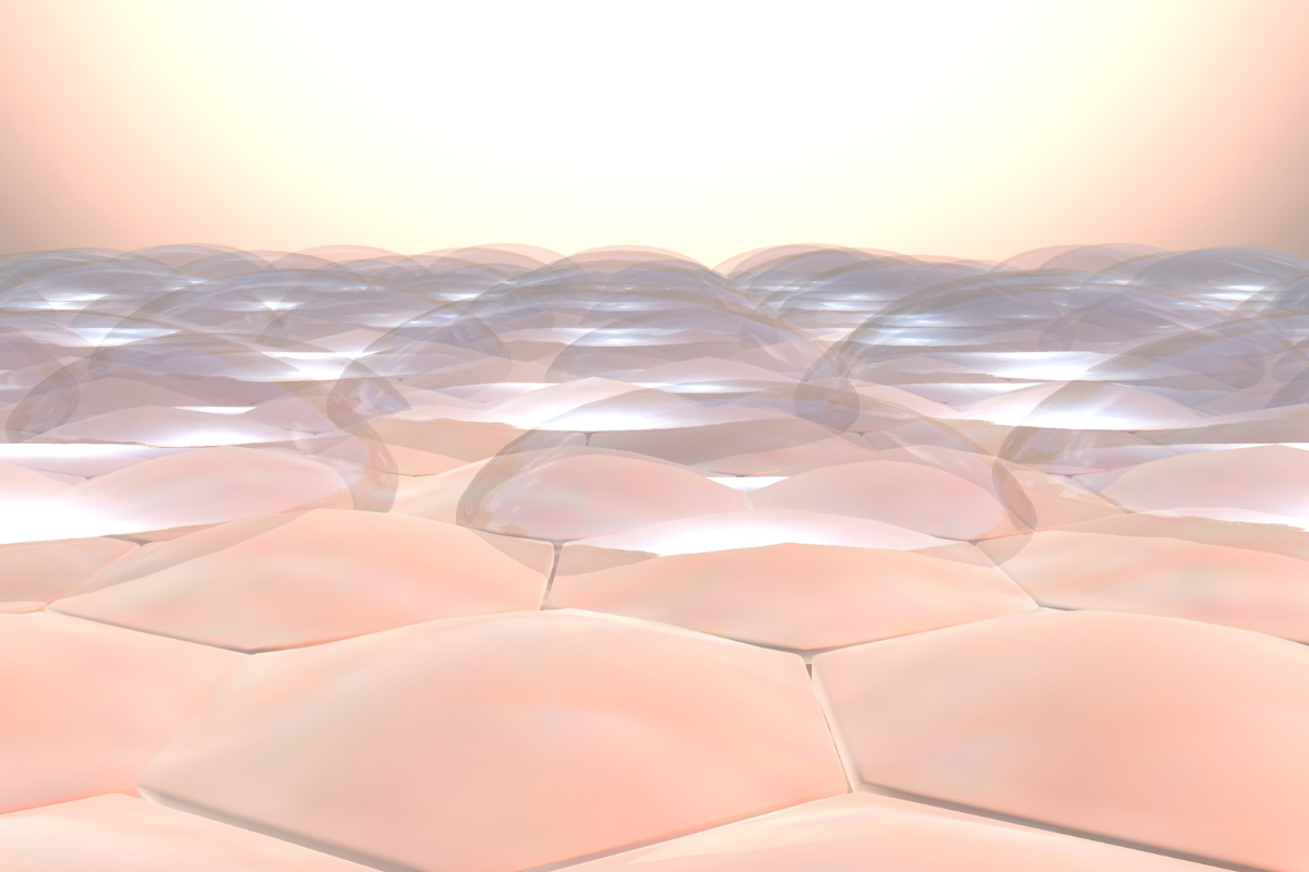 Plump cells at the skin's surface