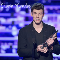 Shawn Mendes Canadian singer-songwriter Life of the Party Wonder Treat You Bette