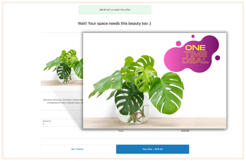 Screenshot from a one-click upsell landing page reading, "One-time deal!"