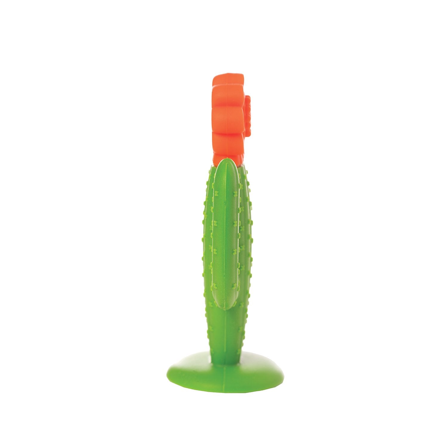 cactus teether