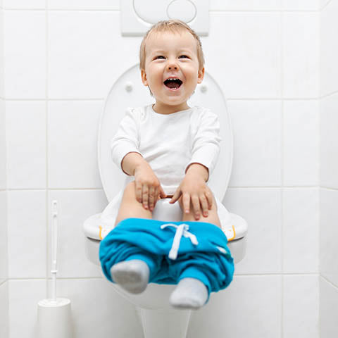 Boys potty seat