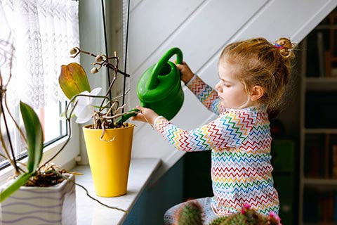 Child watering plants