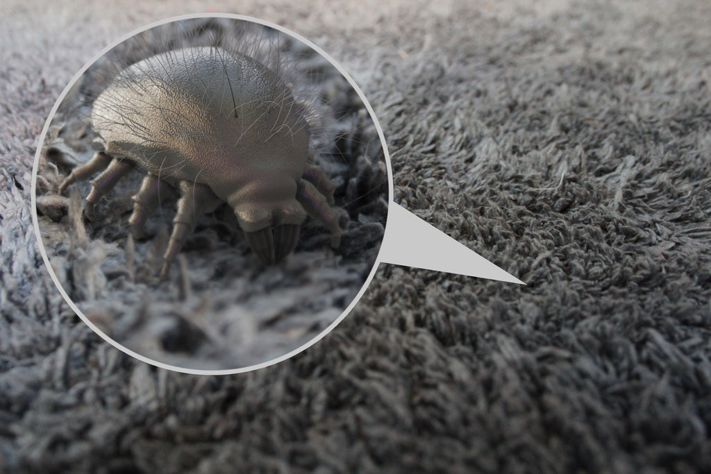 putting dust mite cover on old mattress