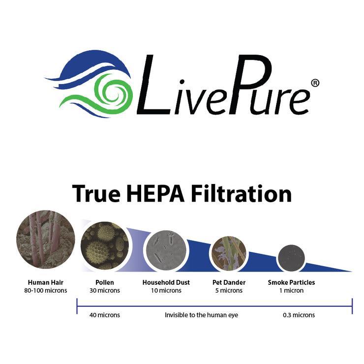 Aspen LPHF350 True HEPA Replacement Filter LivePure