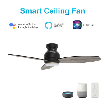 Smart WIFI Ceiling Fan Wall Switch (1 Gang), Works with Alexa, Google Home  and Siri (Capable of controlling AC ceiling fans) - On Sale - Bed Bath &  Beyond - 32408972