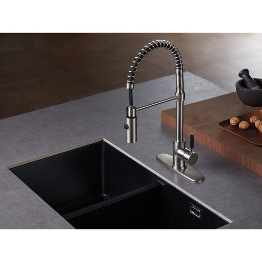 Kaiser Single-Handle Pre-Rinse Kitchen Faucet
