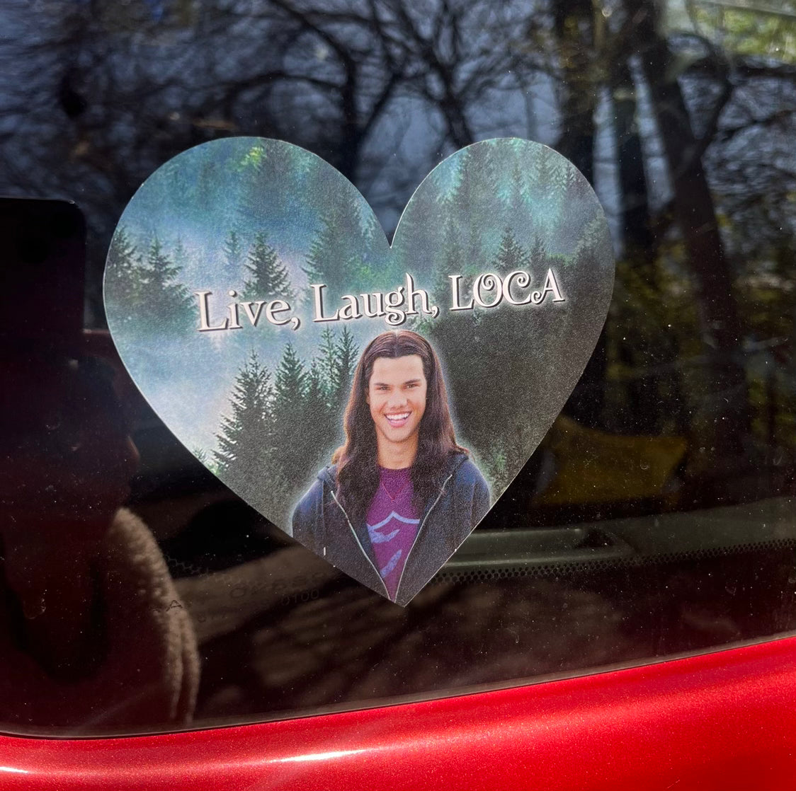 Live Laugh Loca Bumper Sticker