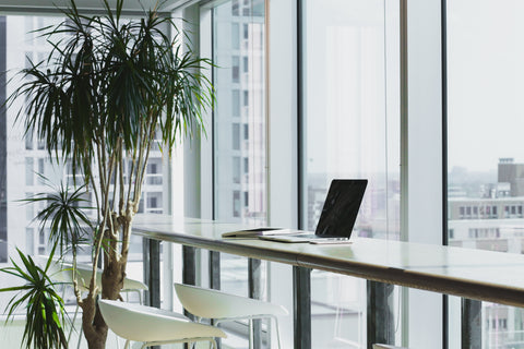 Office desk with natural light