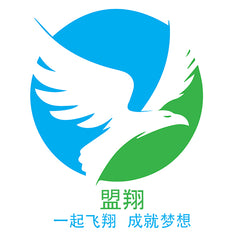 FranchiseSoar Logo Simplified Chinese
