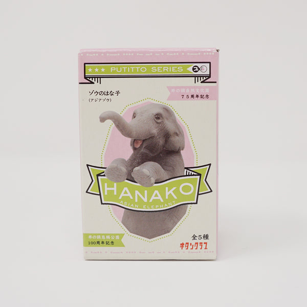 Hanako Elephant Blind Box Putitto Series Kitan Club Mary Bear