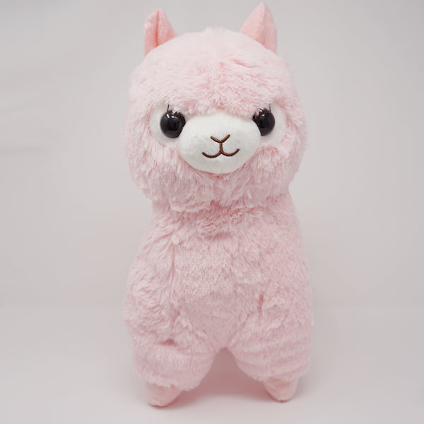 alpacasso amuse