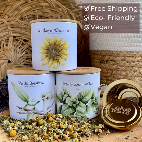 Holiday Tea Bundle, Perfect Gift for Vegans