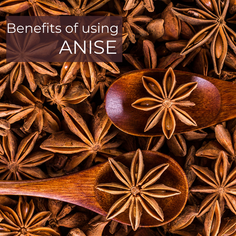 Benefits of Anise