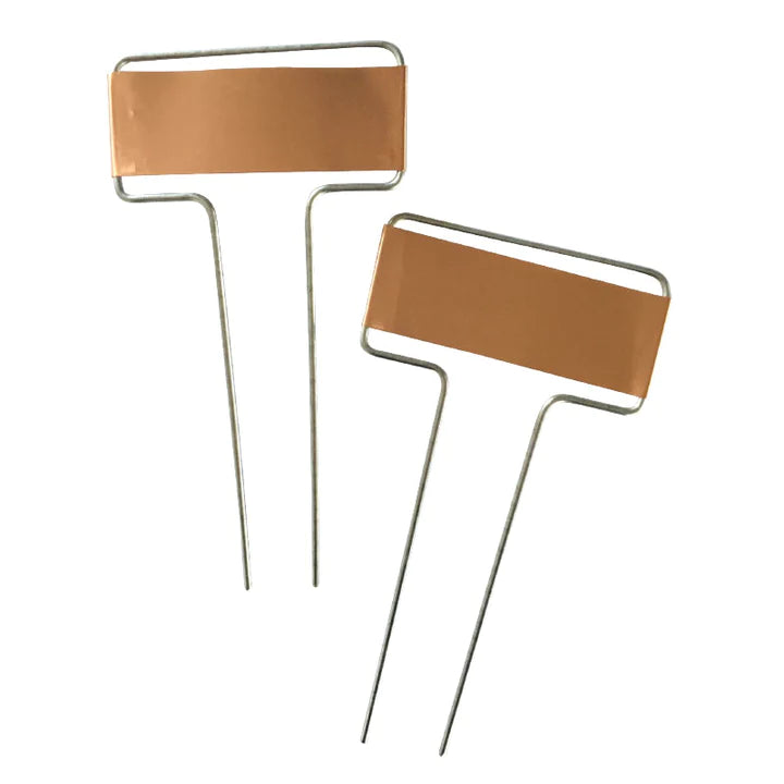 Copper Plant labels - 6 pack