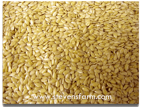 stober farms golden flax seed