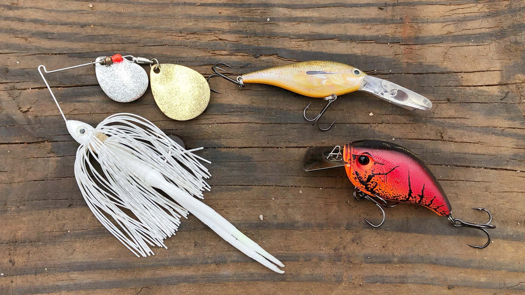 Cold Water Bass Lures