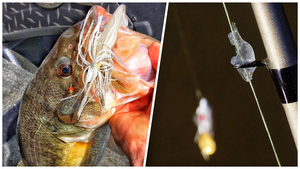 Bass Fishing in Muddy Water? Here's everything you need to know