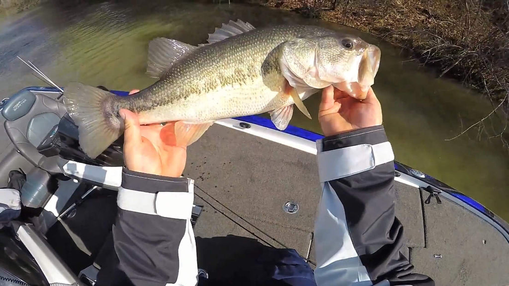 Bass Fishing in Muddy Water? Here's everything you need to know