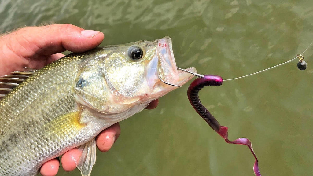 Will this copper bullet weight scare bass, first time rigging soft bait in  my life. : r/Fishing