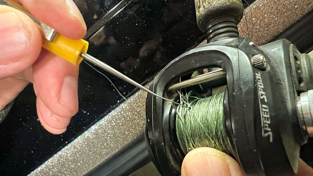 How to Pick Out a Backlash – MONSTERBASS