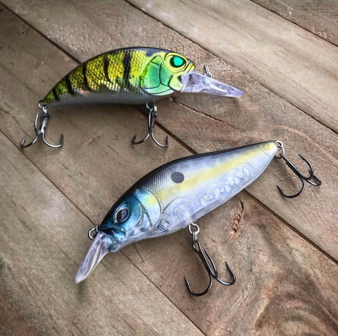 10 of the Best Winter Bass Baits That You Should Be Using