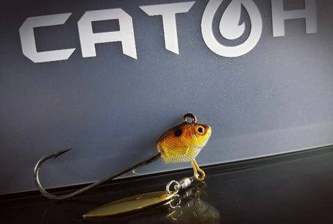10 of the Best Winter Bass Baits That You Should Be Using