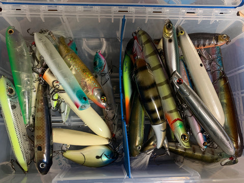 Popper Fishing  Our Top 5 Must Have Lures to Add to Your Tackle Bag