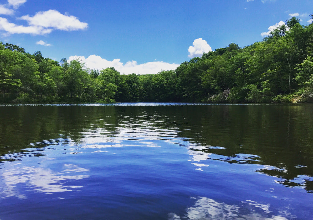 bass fishing lake