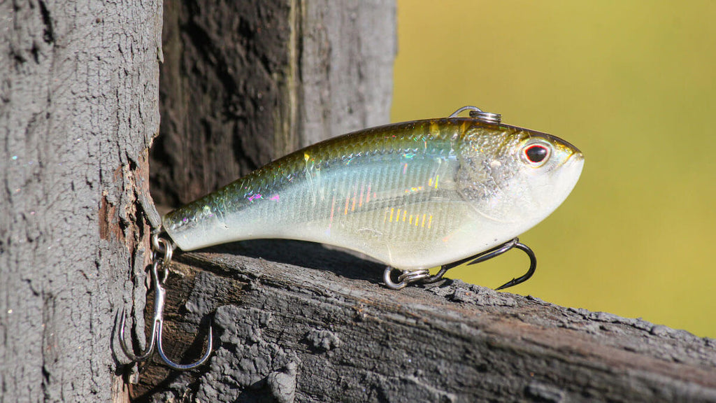Five Baits You Should Have in your Fall Tackle Box – MONSTERBASS