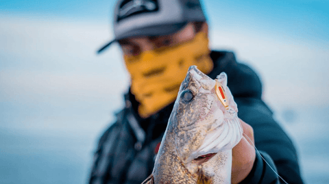 6 Lures You Need in Your Winter Bass Fishing Tackle Box – MONSTERBASS