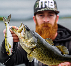 Alex Epperson landed largemouth bass on Swimbait