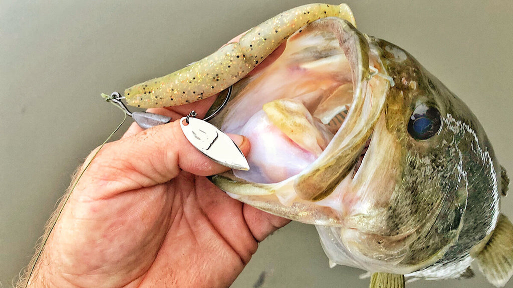 Five Great Baits for Lily Pads – MONSTERBASS