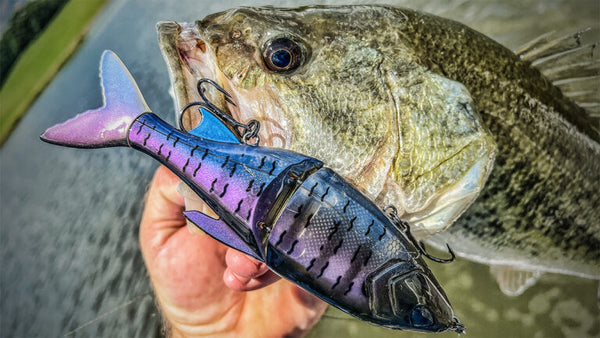 Lots Of Anglers Are Unsure About Fishing A Glide Bait! MUST Watch Before  You Try 