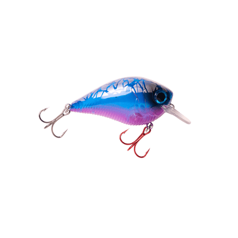 Bass Fishing Lures: A Complete Breakdown