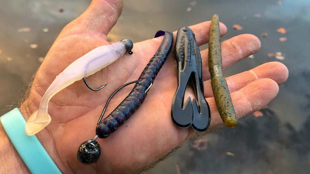 Bass Fishing Gear for Beginners – MONSTERBASS