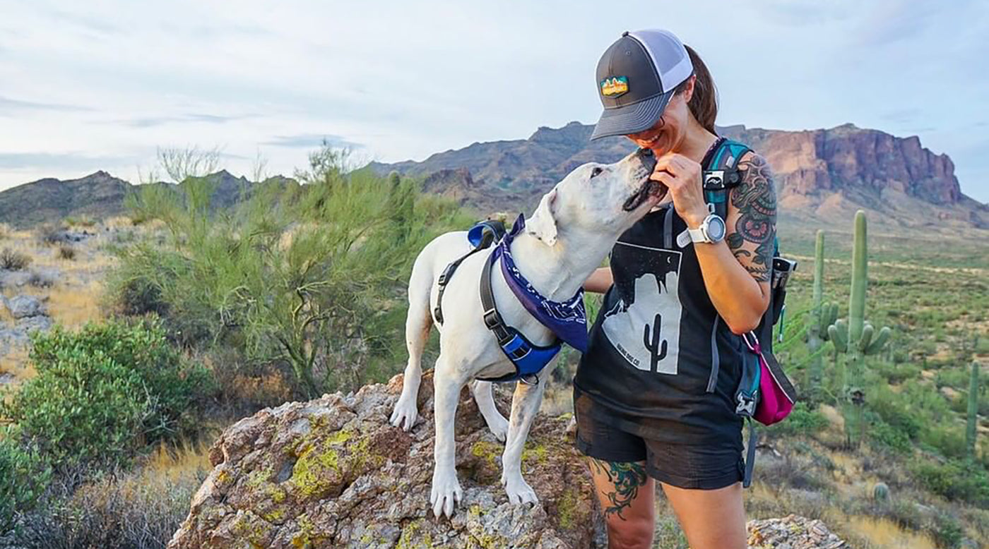 taking puppy hiking