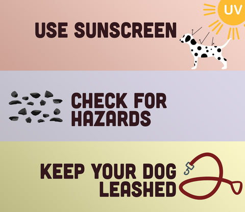 use sunscreen. check for hazards. keep your dog leashed.