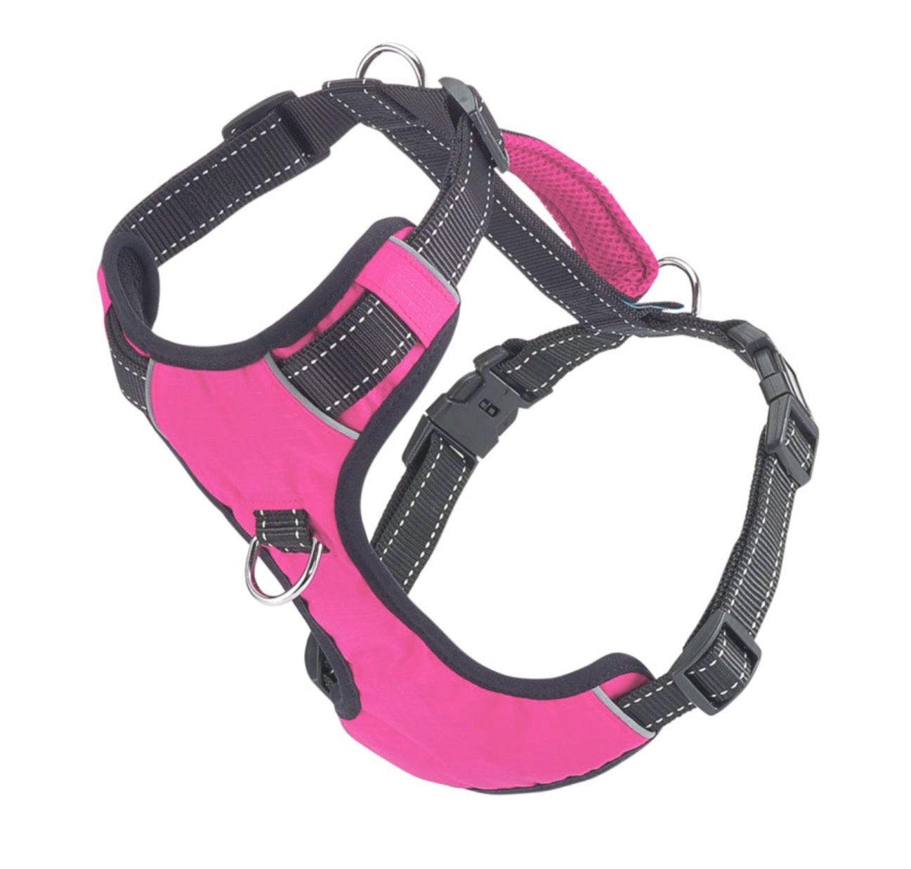 Chesapeake bay dog harness in pink