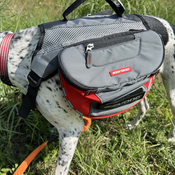 Summit Dog Backpack - Black/Charcoal-378