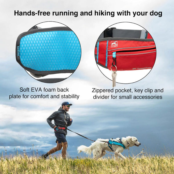 Dog trail running belt, Trail light belt