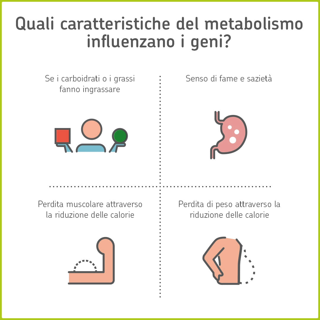 Grafico: Quali caratteristiche del metabolismo influenzano i geni