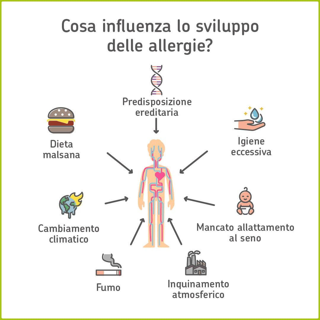 Infografica: Cosa influenza lo sviluppo delle allergie?