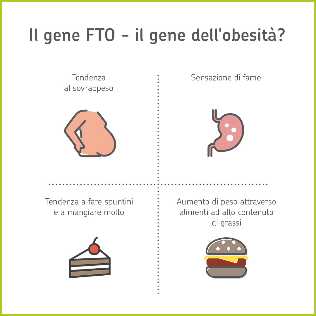Grafico: FTO, gene dell'obesità?
