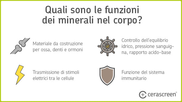 Infografica: Funzioni dei minerali nel corpo