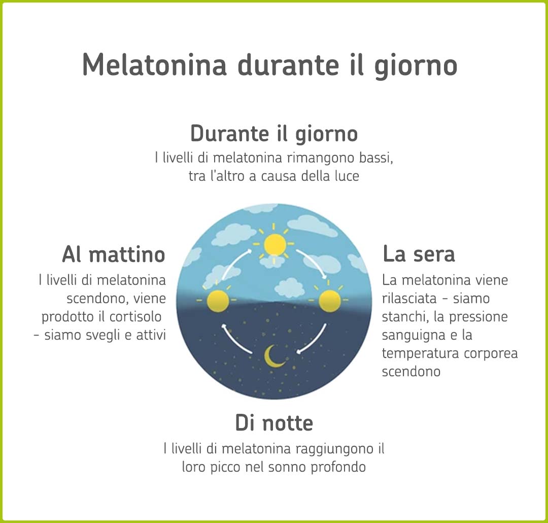 Infografica: come cambiano i livelli di melatonina nel corso della giornata