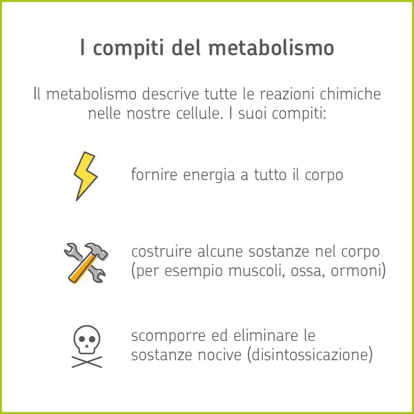 I compiti del metabolismo