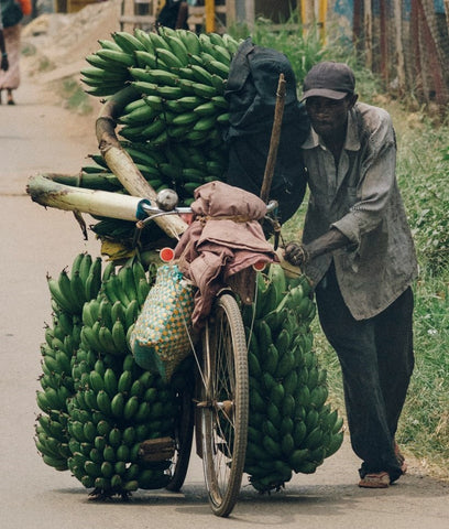 Fairtrade Bananas with farmer