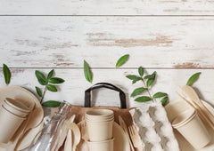 Bamboo: Eco-Conscious tableware